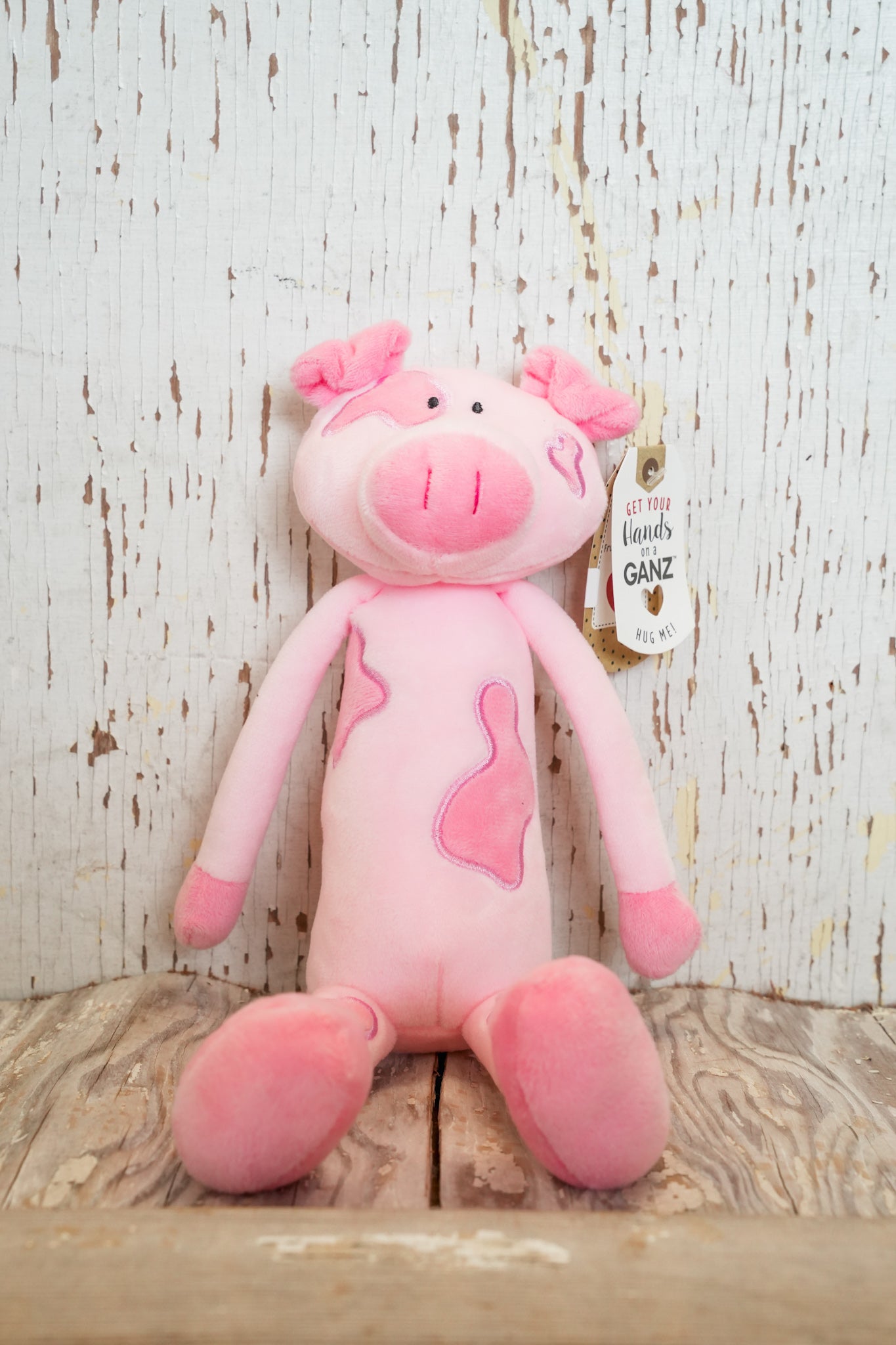 FARM LONGFELLOWS | PIG