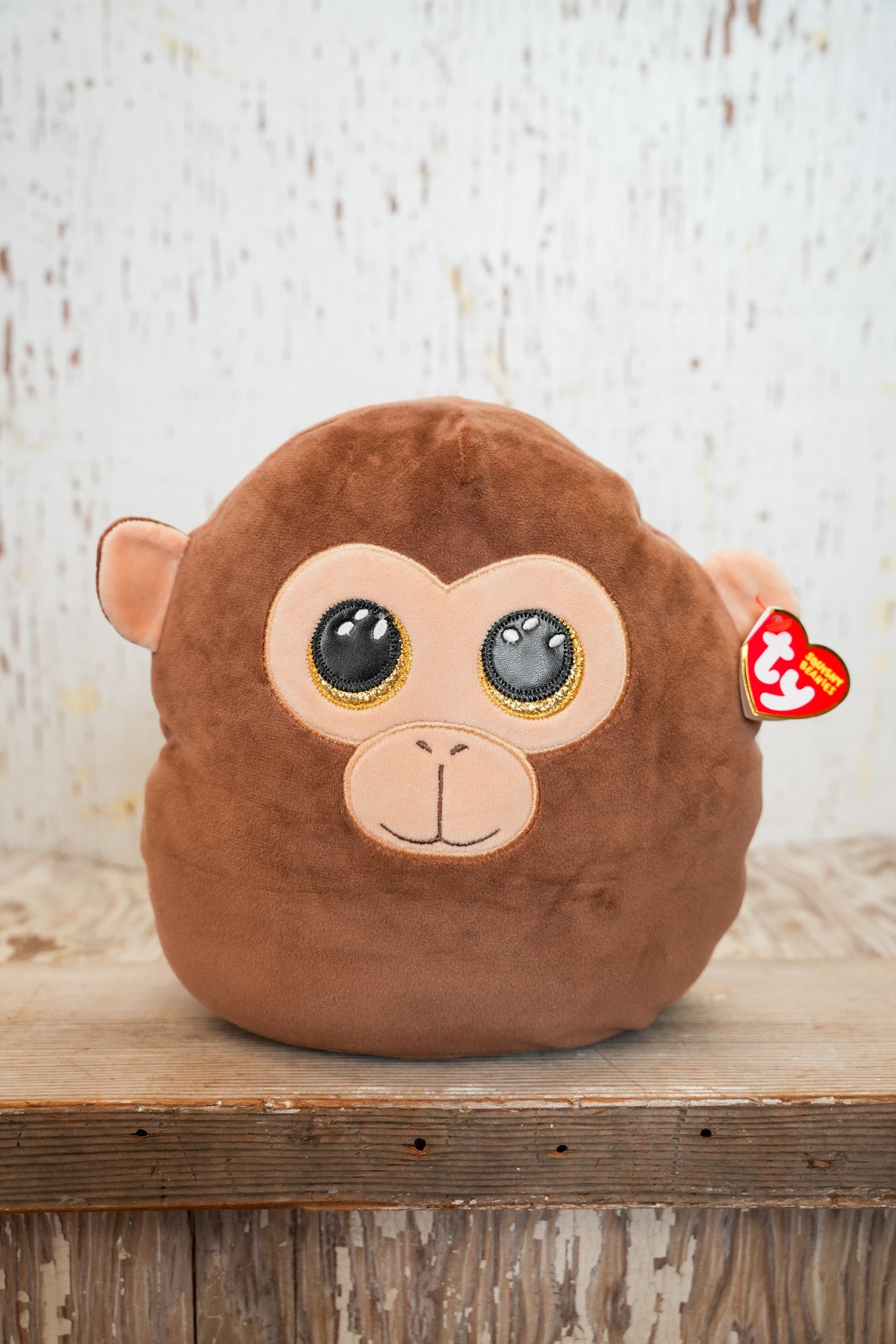 SQUISHY BEANIES | DUNSTON MONKEY
